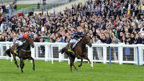 crossbetting meaning|Cross Betting For More Success – Which Sports Work Best to .